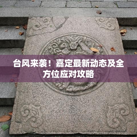 台风来袭！嘉定最新动态及全方位应对攻略