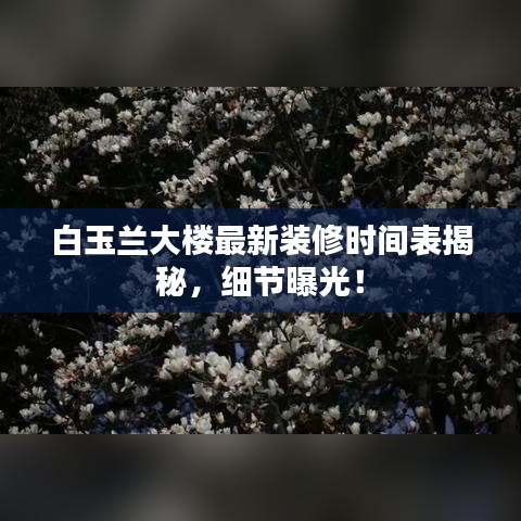 白玉兰大楼最新装修时间表揭秘，细节曝光！
