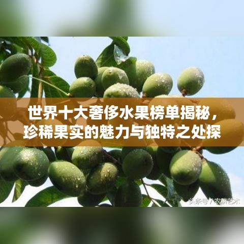 世界十大奢侈水果榜单揭秘，珍稀果实的魅力与独特之处探究