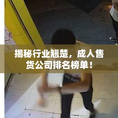 揭秘行业翘楚，成人售货公司排名榜单！