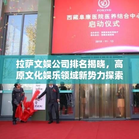 拉萨文娱公司排名揭晓,高原文化娱乐领域新势力探索