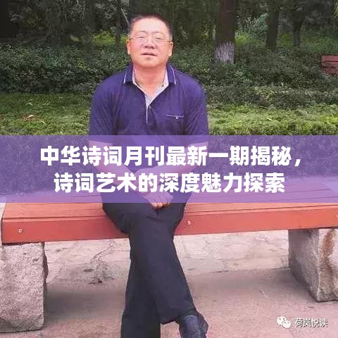 中华诗词月刊最新一期揭秘，诗词艺术的深度魅力探索