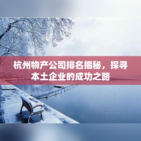 杭州物产公司排名揭秘，探寻本土企业的成功之路