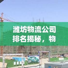 潍坊物流公司排名揭秘，物流行业的佼佼者解读