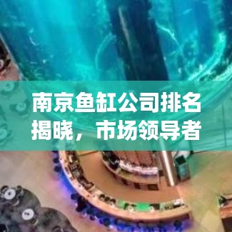 南京鱼缸公司排名揭晓，市场领导者与优质选择深度解读