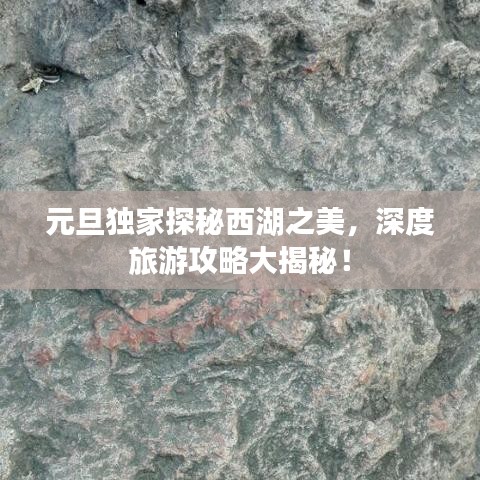 元旦独家探秘西湖之美，深度旅游攻略大揭秘！