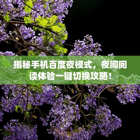 揭秘手机百度夜模式，夜间阅读体验一键切换攻略！