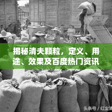 揭秘清夫颗粒，定义、用途、效果及百度热门资讯全解析