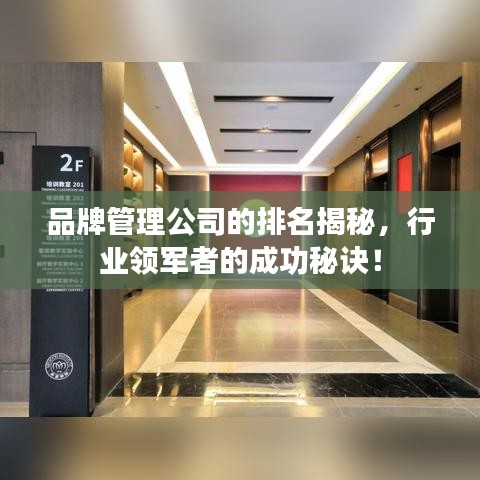 品牌管理公司的排名揭秘，行业领军者的成功秘诀！