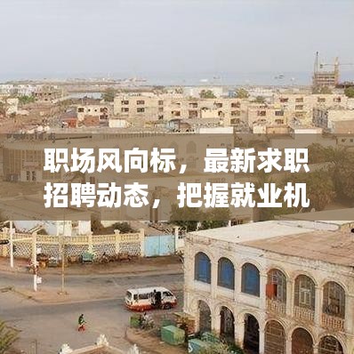 职场风向标，最新求职招聘动态，把握就业机会，洞悉职场趋势