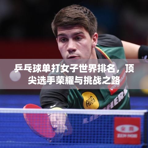 乒乓球单打女子世界排名，顶尖选手荣耀与挑战之路