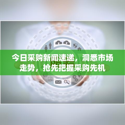 今日采购新闻速递，洞悉市场走势，抢先把握采购先机