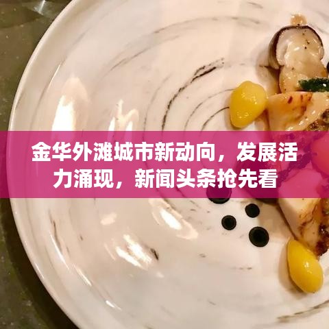 金华外滩城市新动向,发展活力涌现,新闻头条抢先看