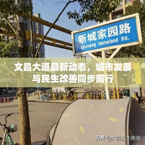 文昌大道最新动态，城市发展与民生改善同步前行