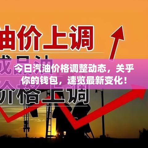 今日汽油价格调整动态，关乎你的钱包，速览最新变化！