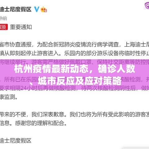 杭州疫情最新动态，确诊人数、城市反应及应对策略