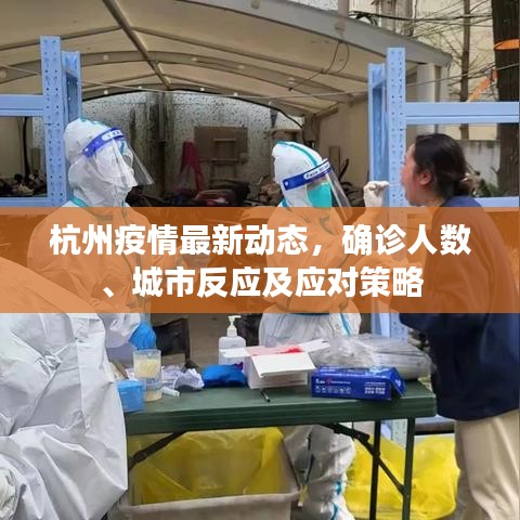 杭州疫情最新动态,确诊人数、城市反应及应对策略