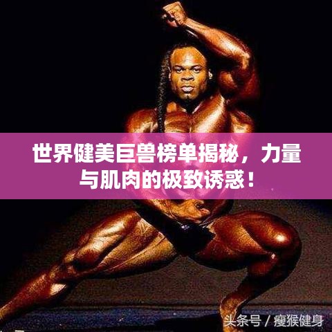 世界健美巨兽榜单揭秘，力量与肌肉的极致诱惑！