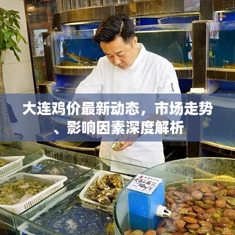 大连鸡价最新动态，市场走势、影响因素深度解析