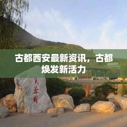 古都西安最新资讯，古都焕发新活力