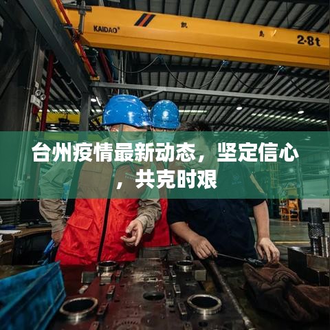 台州疫情最新动态,坚定信心,共克时艰