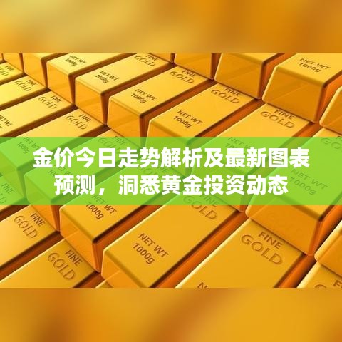 金价今日走势解析及最新图表预测，洞悉黄金投资动态