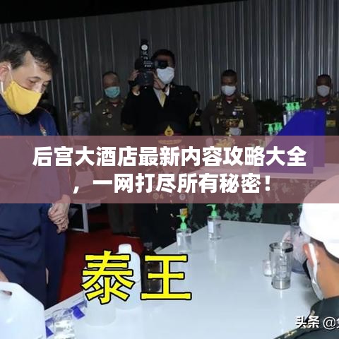 后宫大酒店最新内容攻略大全，一网打尽所有秘密！