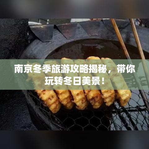 南京冬季旅游攻略揭秘,带你玩转冬日美景!