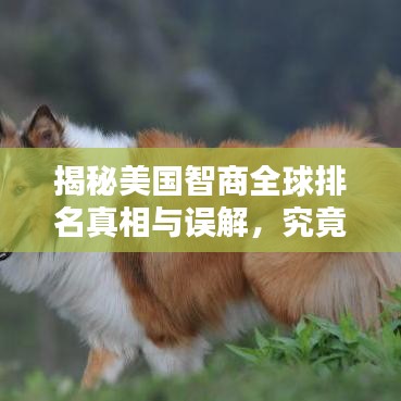 揭秘美国智商全球排名真相与误解，究竟位列世界第几？