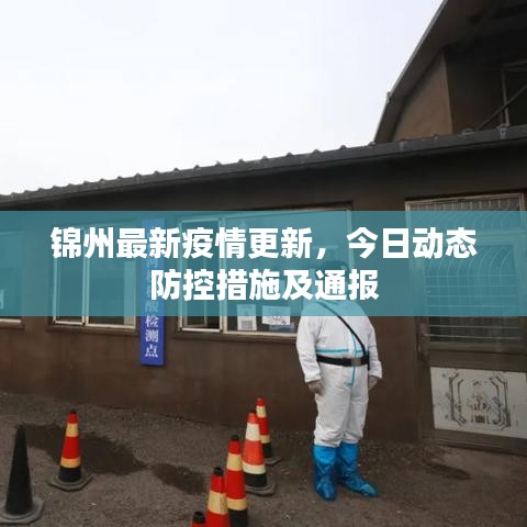 锦州最新疫情更新，今日动态防控措施及通报