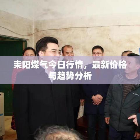 耒阳煤气今日行情，最新价格与趋势分析