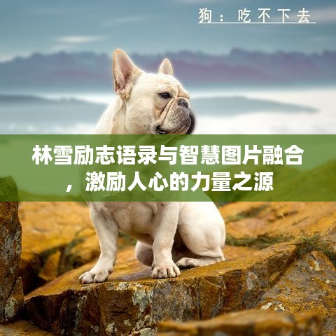 林雪励志语录与智慧图片融合,激励人心的力量之源