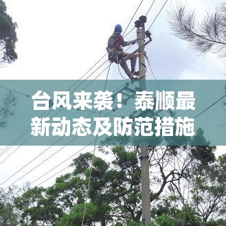 台风来袭！泰顺最新动态及防范措施全解析
