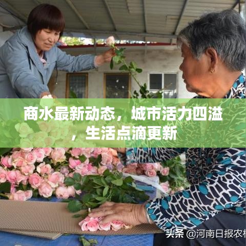 商水最新动态，城市活力四溢，生活点滴更新