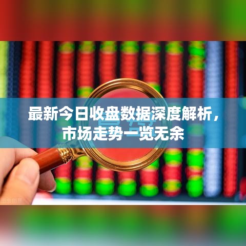 最新今日收盘数据深度解析，市场走势一览无余