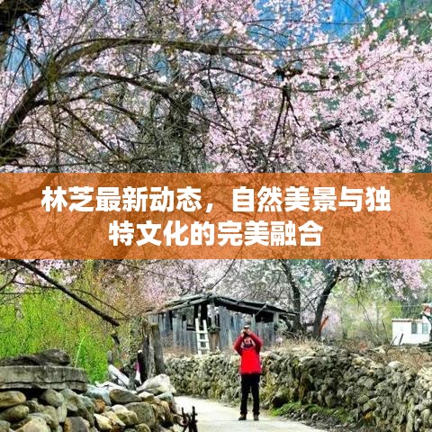 林芝最新动态，自然美景与独特文化的完美融合