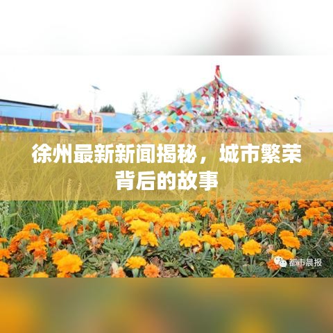 徐州最新新闻揭秘，城市繁荣背后的故事