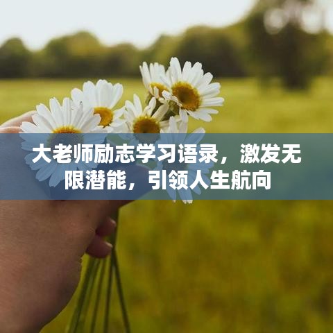 大老师励志学习语录，激发无限潜能，引领人生航向
