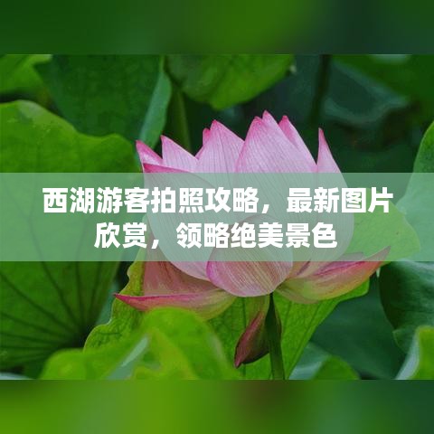 西湖游客拍照攻略,最新图片欣赏,领略绝美景色