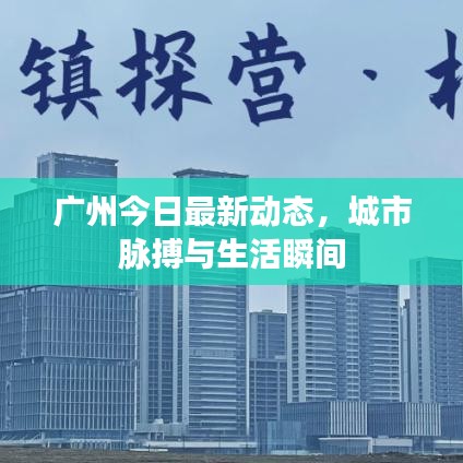 广州今日最新动态，城市脉搏与生活瞬间