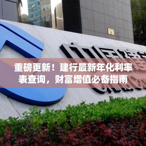 重磅更新！建行最新年化利率表查询，财富增值必备指南
