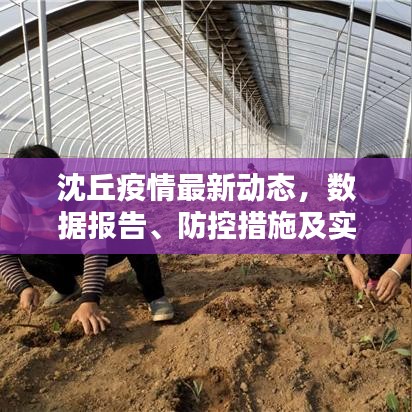 沈丘疫情最新动态，数据报告、防控措施及实时更新