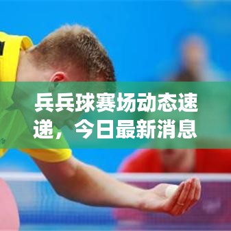 兵兵球赛场动态速递，今日最新消息、热点事件与未来展望