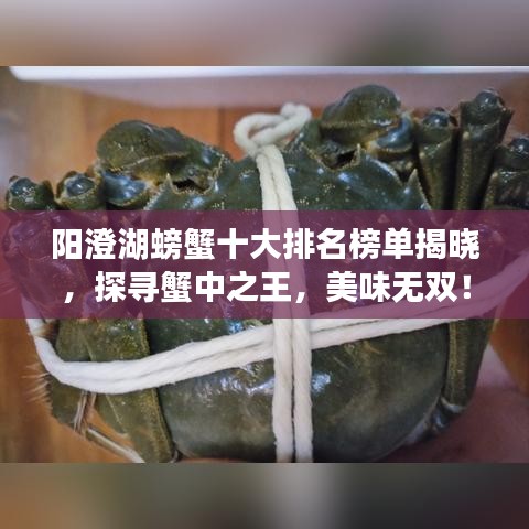 阳澄湖螃蟹十大排名榜单揭晓，探寻蟹中之王，美味无双！