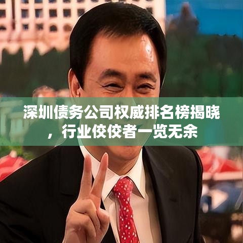 深圳债务公司权威排名榜揭晓，行业佼佼者一览无余