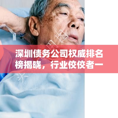 深圳债务公司权威排名榜揭晓,行业佼佼者一览无余