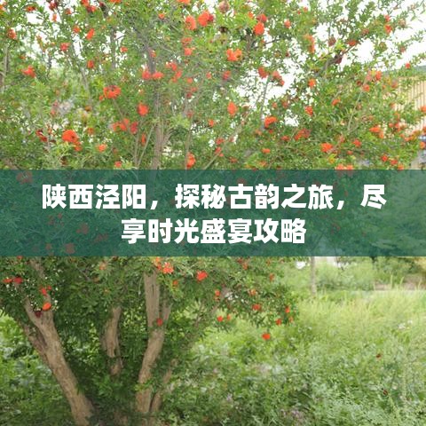 陕西泾阳，探秘古韵之旅，尽享时光盛宴攻略
