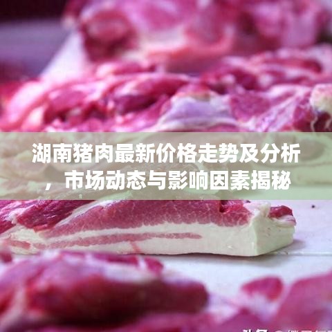 湖南猪肉最新价格走势及分析，市场动态与影响因素揭秘