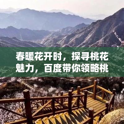 春暖花开时，探寻桃花魅力，百度带你领略桃花之美