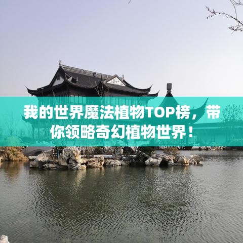 我的世界魔法植物TOP榜，带你领略奇幻植物世界！
